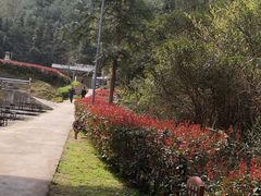 -浏阳石牛寨风景区