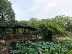 -雨花胜境