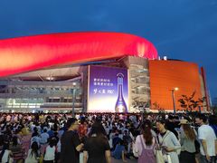 -南京奥林匹克体育中心-体育馆