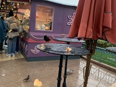 -巴黎迪士尼乐园