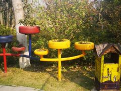 -合肥滨湖国家森林公园