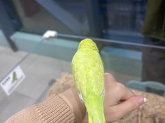 -怪兽屋·羊驼·猫咖·狗咖(俊华广场店)