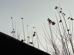 -御林汤泉