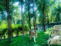 -北京野生动物园