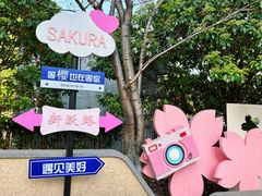 -高东镇樱花园