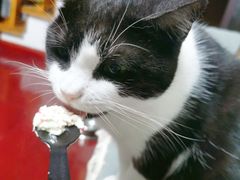 -Dark Horse·黑马蛋糕·低脂·低糖淡奶(金匙望湖大厦店)