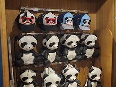 -熊猫屋(宽窄巷子景区店)