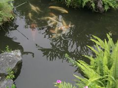 -晓港公园