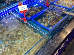 水产区-必点海鲜·鲅鱼水饺(鞍山西道店)