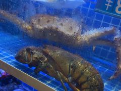 -阿明小菜·海鲜·上海菜(梅陇店)
