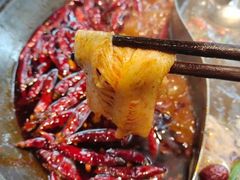 -大虎重庆老火锅(正弘城店)