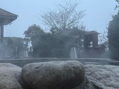 -徂徕山森林康养度假谷温泉