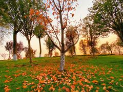 -汉长安城未央宫国家考古遗址公园