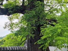 -国家植物园南园