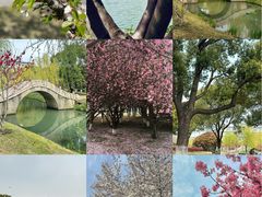 -苏州工学院(东湖校区)