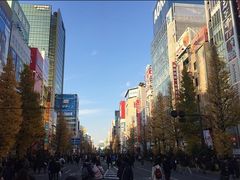 -秋叶原电器街