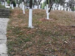 -玉树公园