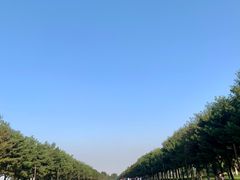 -汉长安城未央宫国家考古遗址公园