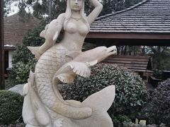 -天目湖涵田半山温泉