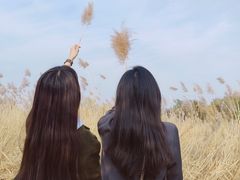 -绿堤公园