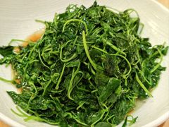 金花菜酒香-新聚丰菜馆(太监弄店)