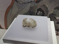 -衢州市博物馆