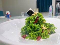 -丁老爷子苏香圆