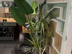 -湊湊火锅·茶憩(皇姑万象汇店)