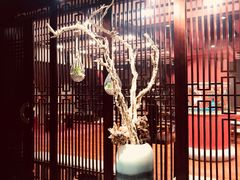 -中国宋庆龄青少年科技文化交流中心