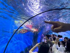 -重庆欢乐海底世界