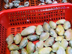 -巽寮印象美食部落餐厅·海鲜·地方特色菜(惠州体验店)