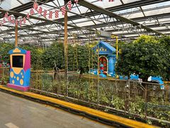 -南宫五洲植物乐园