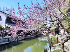 -台儿庄古城