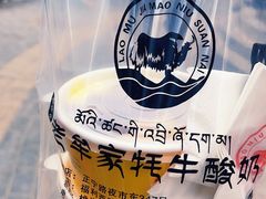 -老牟家牦牛酸奶