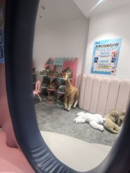 -奈尔宝·儿童乐园·亲子餐厅(前滩店)