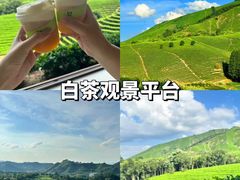 -老李家土菜馆·安吉地标美食