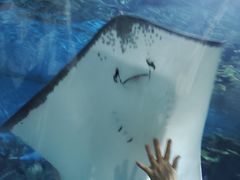 -福州罗源湾海洋世界旅游区