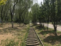 -永定河休闲森林公园