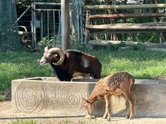 -宁波野生动物园