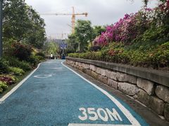 -重庆平顶山公园