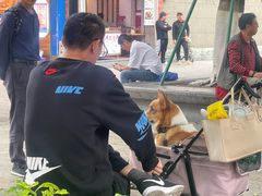 -林四喜·闽南传家菜(鼓浪屿店)