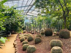 -呀路古热带植物园