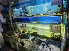 -米氏火鱼·泡椒鱼火锅(李子坝老店)