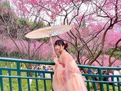 -重庆彩云湖湿地公园