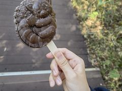 -普洱太阳河森林公园