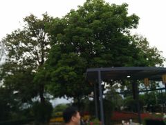 -金鸡山公园