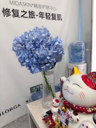 -MIDA蜜哒•科技逆龄美肤连锁