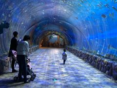 -华夏文旅海洋公园