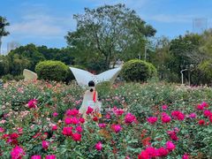 -人民公园(罗湖区)