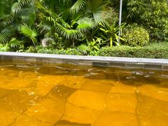 -台山颐和温泉城